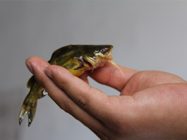 污水处理后.jpg